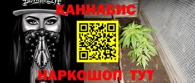 шишки Камышлов