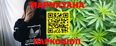 шишки Камышлов