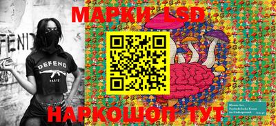 шишки Камышлов