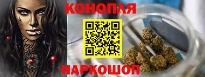 шишки Камышлов