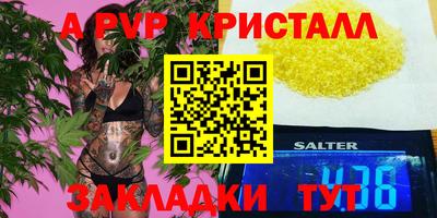 шишки Камышлов