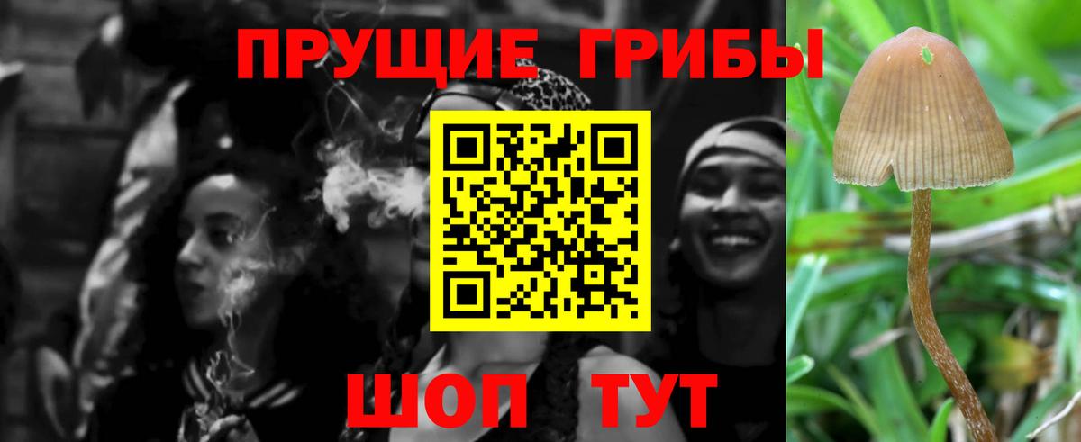 Галлюциногенные грибы Magic Shrooms  Вход с VPN  Галлюциногенные грибы GOLDEN TEACHER  Кузнецк 